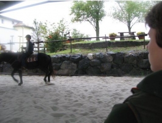  Clases de equitación 